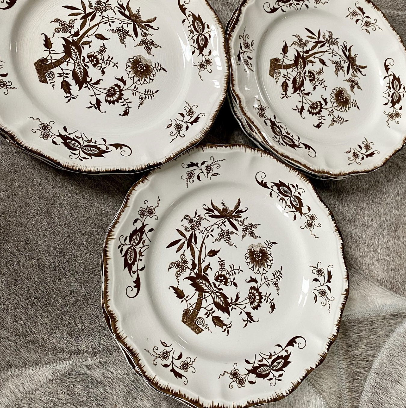 Assiettes à dîner Windsor (8pcs)